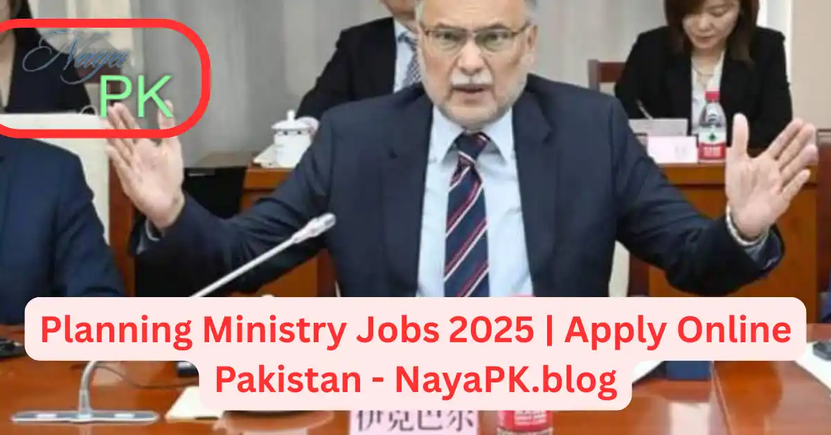 Planning Ministry Jobs 2025