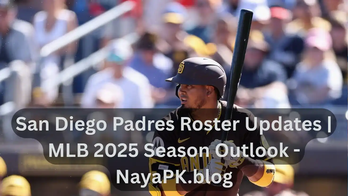 San Diego Padres Roster Updates | MLB 2025 Season Outlook - NayaPK.blog