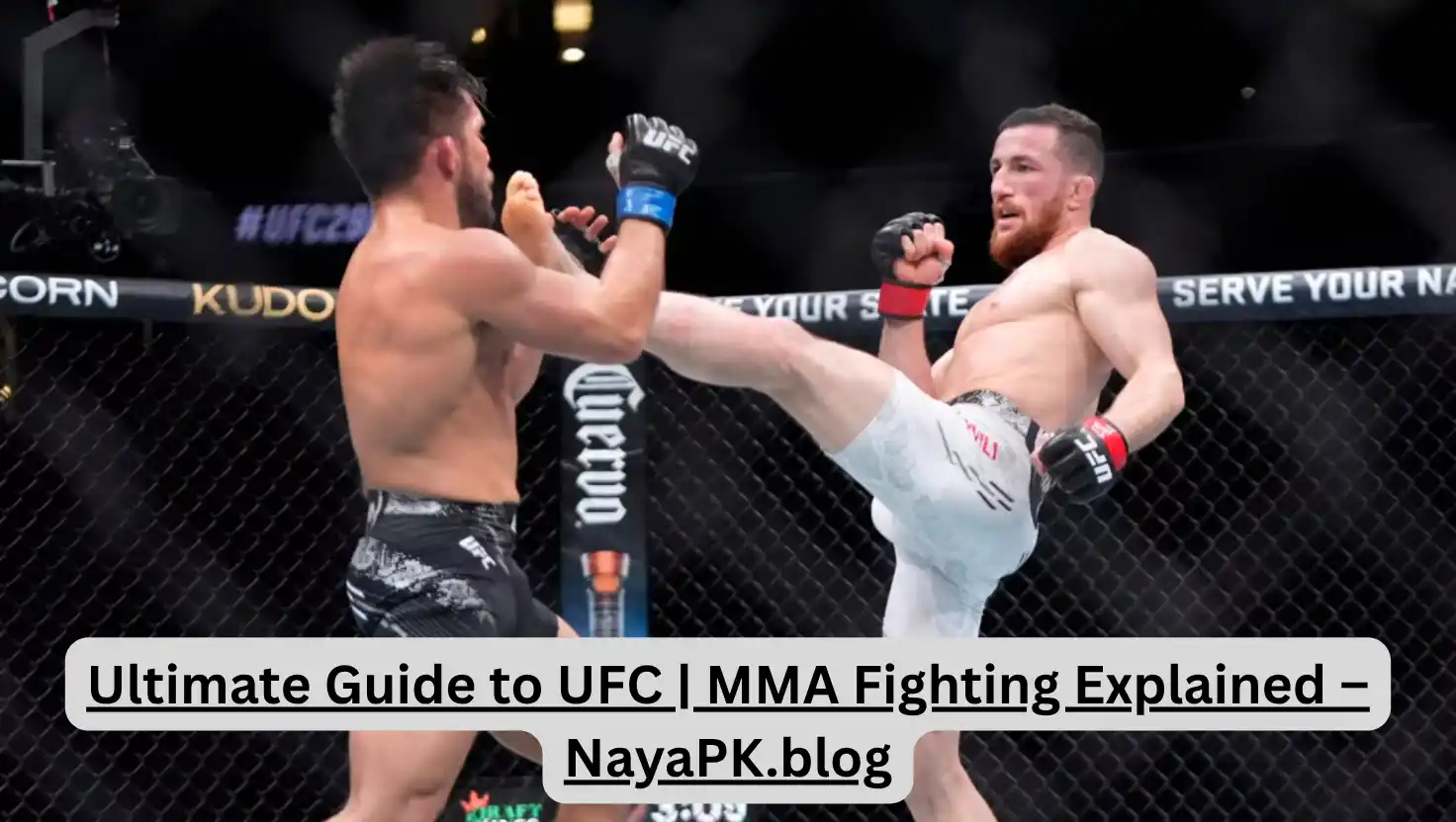 Ultimate Guide to UFC | MMA Fighting Explained – NayaPK.blog