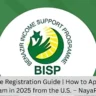 BISP Online Registration Guide | How to Apply for BISP Program in 2025 from the U.S. – NayaPK.blog