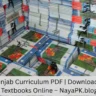 Free Punjab Curriculum PDF | Download School Textbooks Online – NayaPK.blog