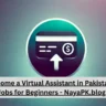 How to Become a Virtual Assistant in Pakistan | Online Freelance Career Guide - NayaPK.blog