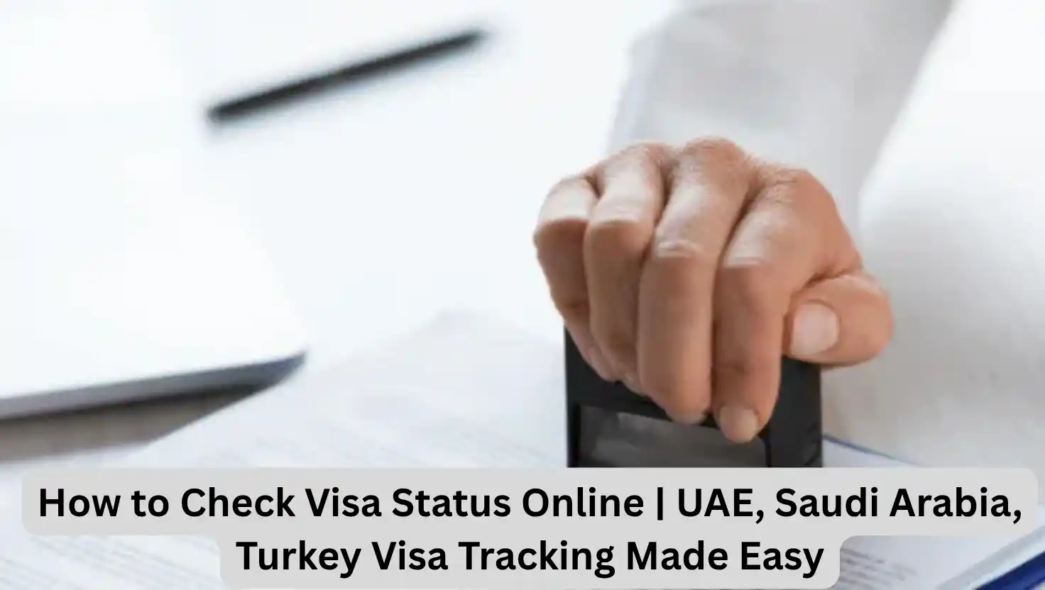 How to Check Visa Status Online | UAE, Saudi Arabia, Turkey Visa Tracking Made Easy