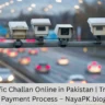 Pay Traffic Challan Online in Pakistan | Traffic Fine Payment Process – NayaPK.blog