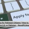 UAE Visit Visa for Pakistani Citizens | How to Apply from the U.S. or Pakistan – NayaPK.blog