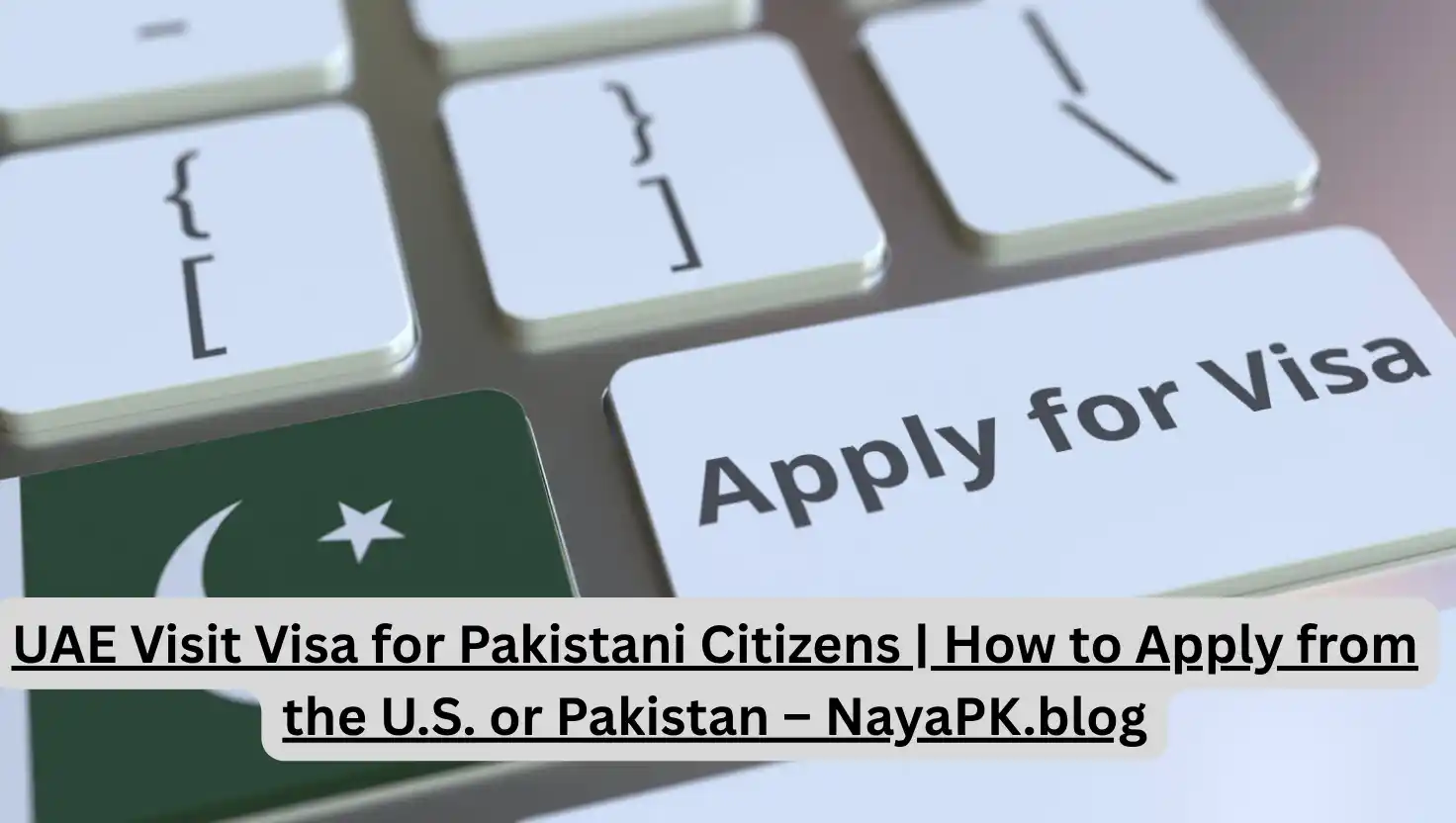 UAE Visit Visa for Pakistani Citizens | How to Apply from the U.S. or Pakistan – NayaPK.blog