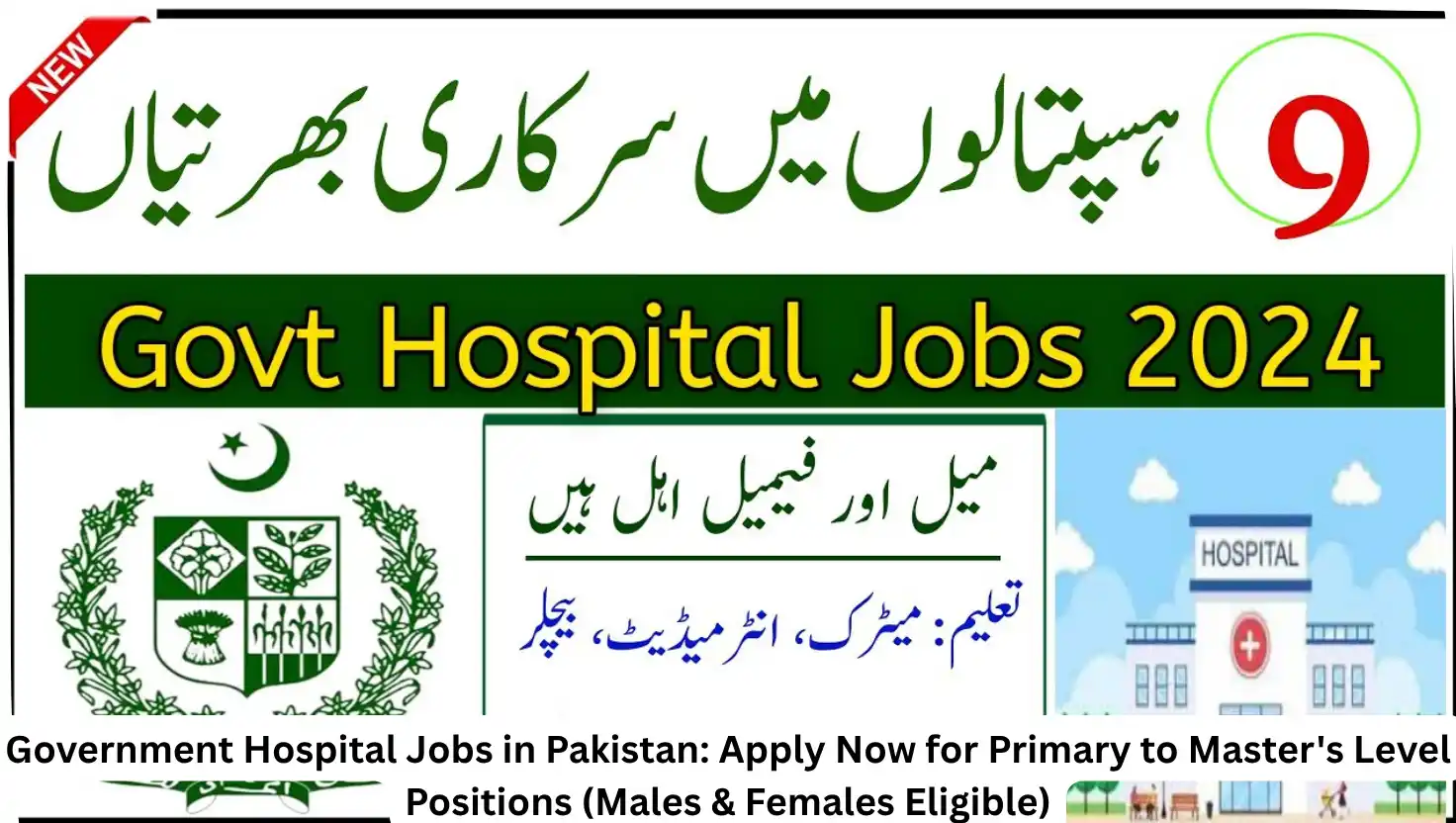 Government Hospital Jobs in Pakistan: Apply Now for Primary to Master's Level Positions (Males & Females Eligible)