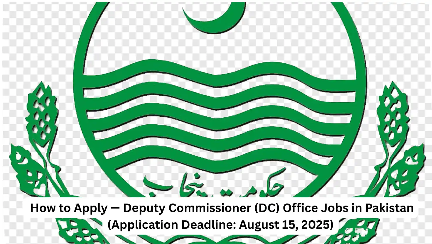 How to Apply — Deputy Commissioner (DC) Office Jobs in Pakistan (Application Deadline: August 15, 2025)