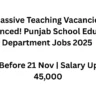 Punjab School Education Department Jobs 2025 – Apply Online for Teachers & Interns | Bachelor & Master Degree Holders Eligible